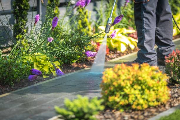 Best Patio and Deck Pressure Washing  in Overton, TX